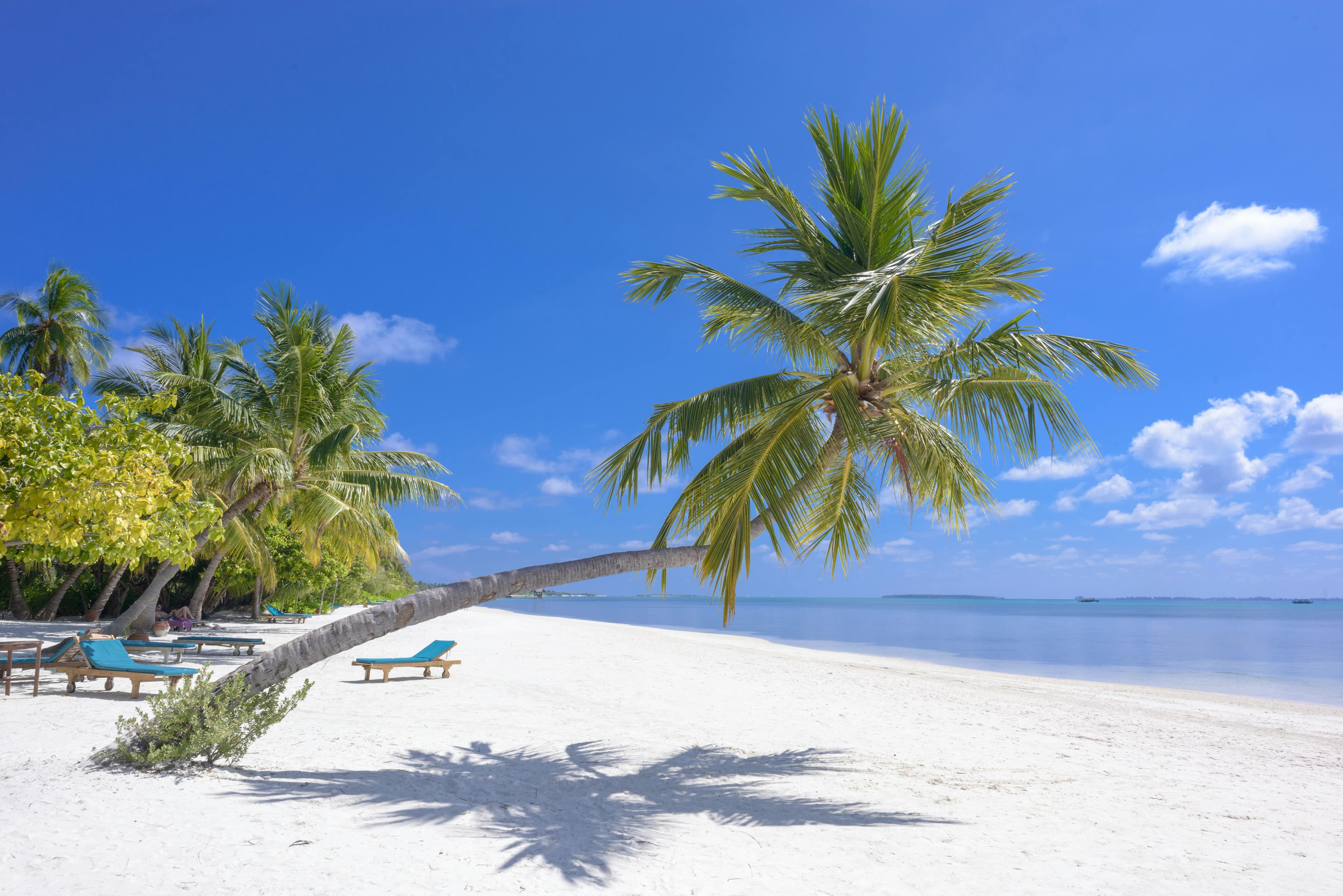 Beach Holidays
